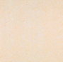 RAK  AUTUMN LEMON  800X800mm